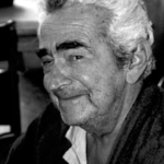 Roberto José Goulart Tibau