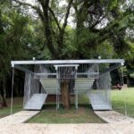 Semeador e Ao Redor de uma Árvore